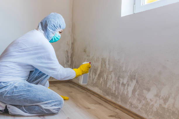 Licensed Mold Inspection And Testing service in Wenonah, NJ - Mold Remediation HQ